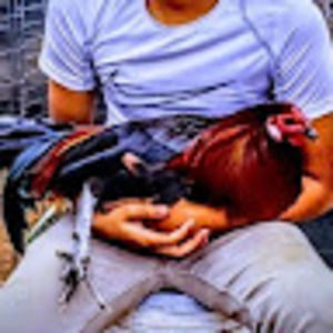 Meet your Posher, Suerte